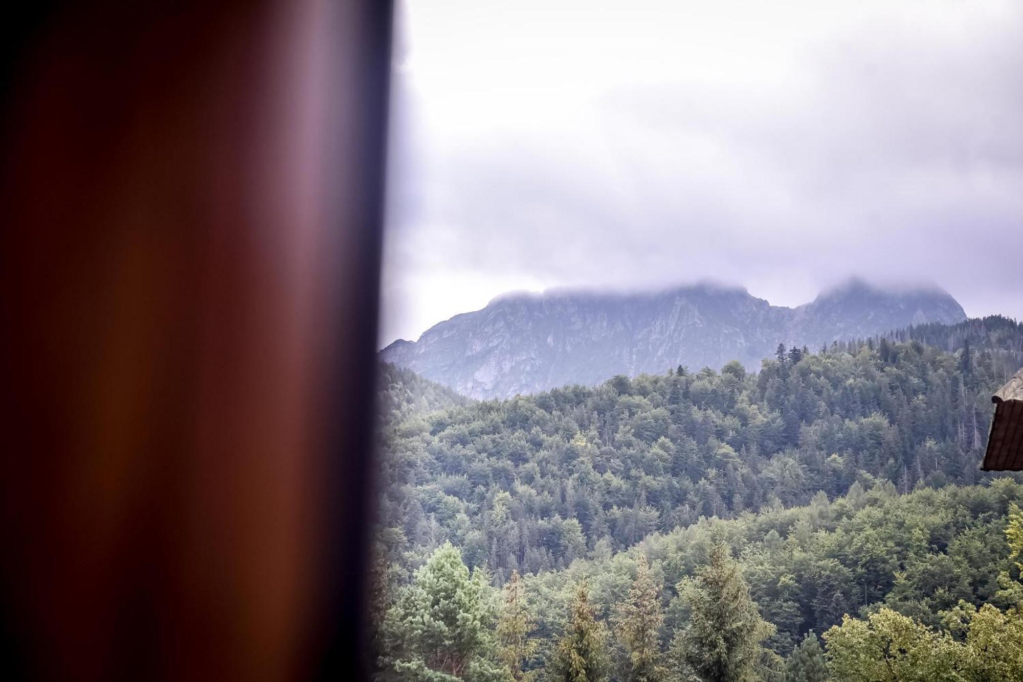 My Tatra Residence Zakopane Luaran gambar